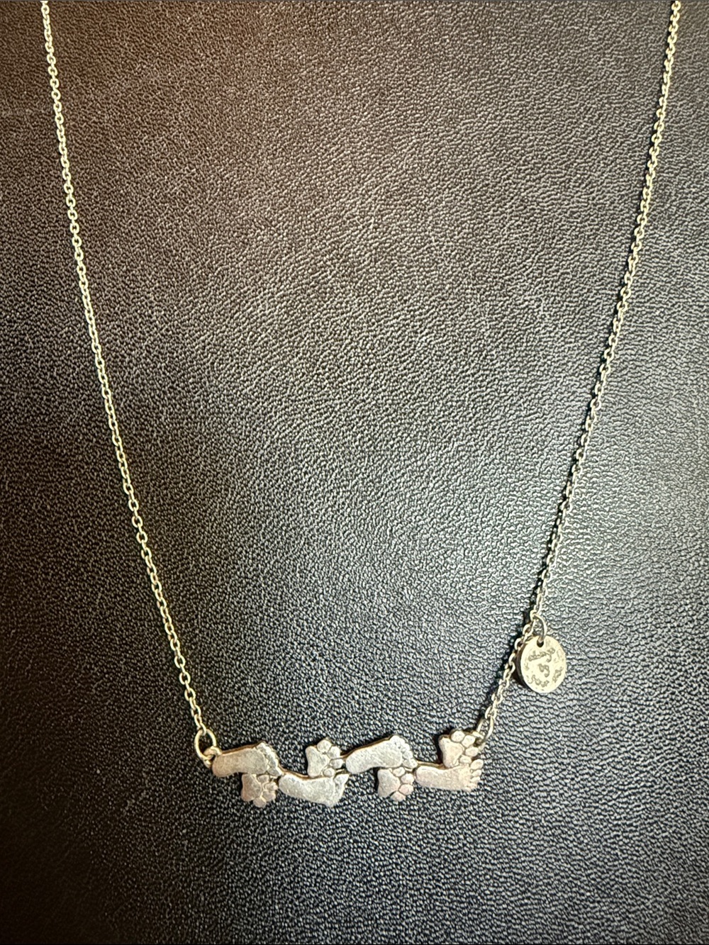 Sterling Silver foot and Paw Print Necklace “always by your side”- Women Jewelry